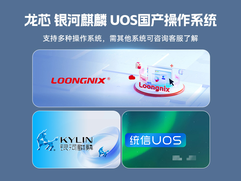 國產(chǎn)化多網(wǎng)口工控機,龍芯LS3A5000安全主機,DT-61013-P3A5K