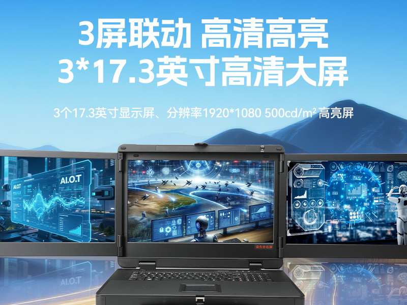 17.3英寸三屏加固便攜機(jī),騰銳D2000國(guó)產(chǎn)工業(yè)筆記本,DTG-3173CU-FD2KMCL2